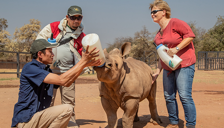 Rhino Conversation project