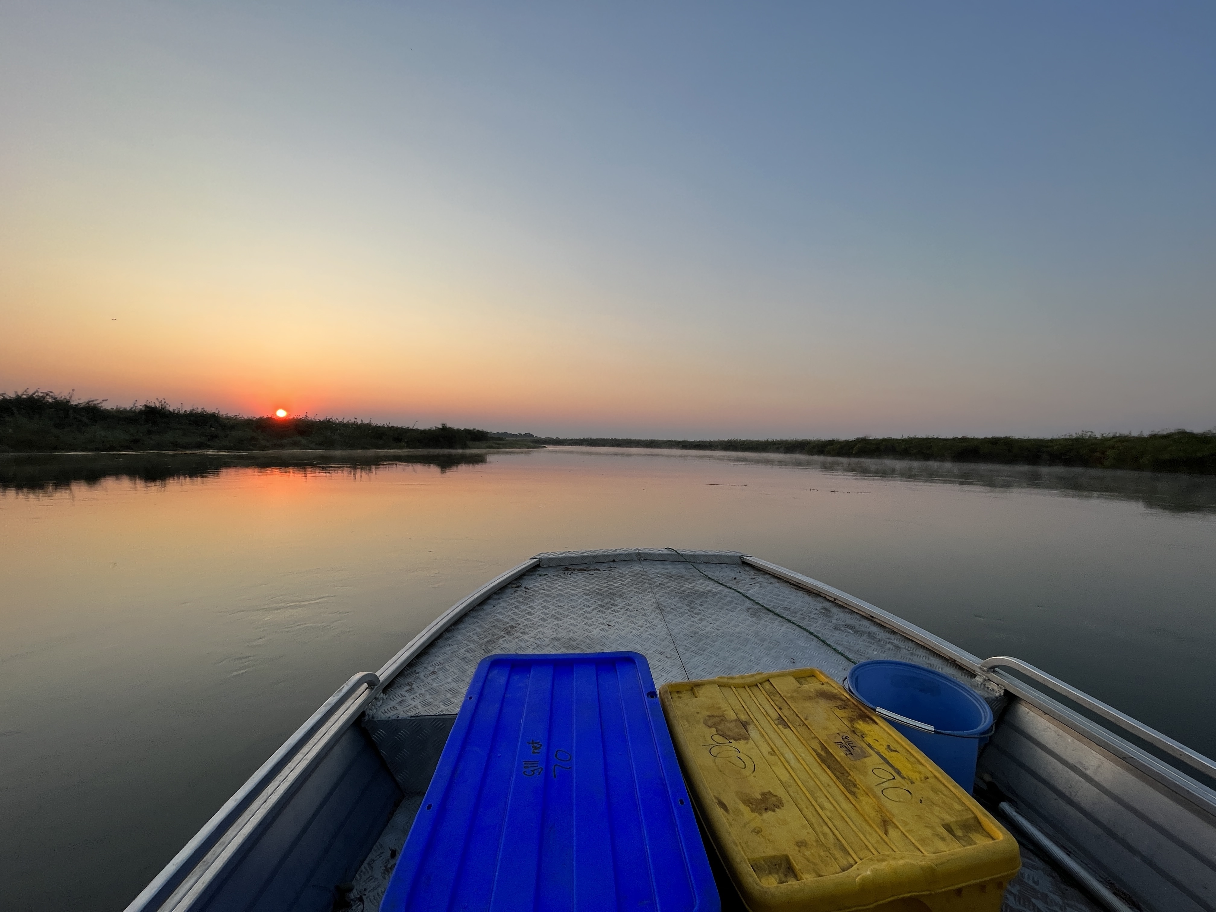 Synodontis research boat, morning fish sampling