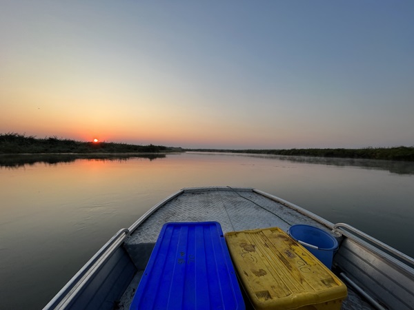 Synodontis research boat, morning fish sampling Synodontis research boat, morning fish sampling