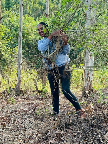 5c3ac1a5-5dd9-4c9a-97fb-5d432ba5e2e2 5c3ac1a5-5dd9-4c9a-97fb-5d432ba5e2e2