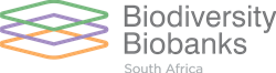 BBSA-Logo