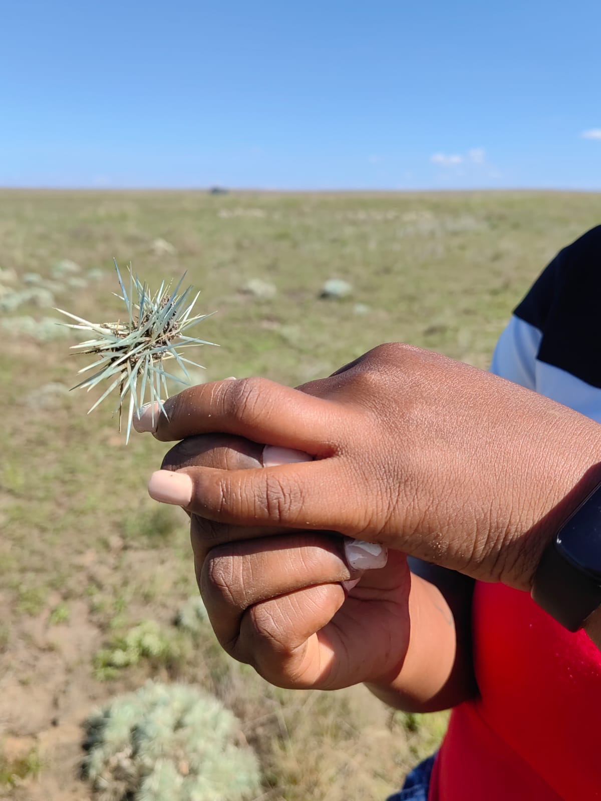 e5684b1f-75b5-4748-8c7a-306d9c1c8044