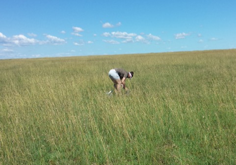 Nematology fieldwork