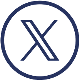 x icon