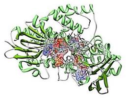 Protein structure