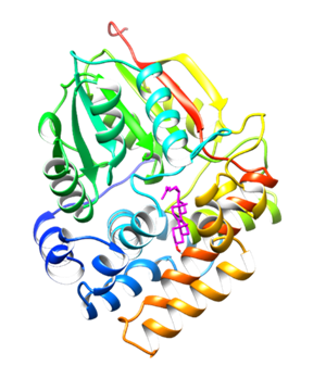 24C-sterol methyltransferase 24C-sterol methyltransferase