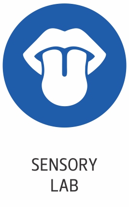 Sensory Lab Icon