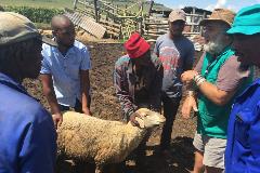 Ruforum Community Farmers