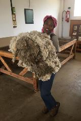 Ruforum Community Farmers