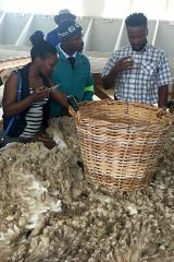 Ruforum Community Training