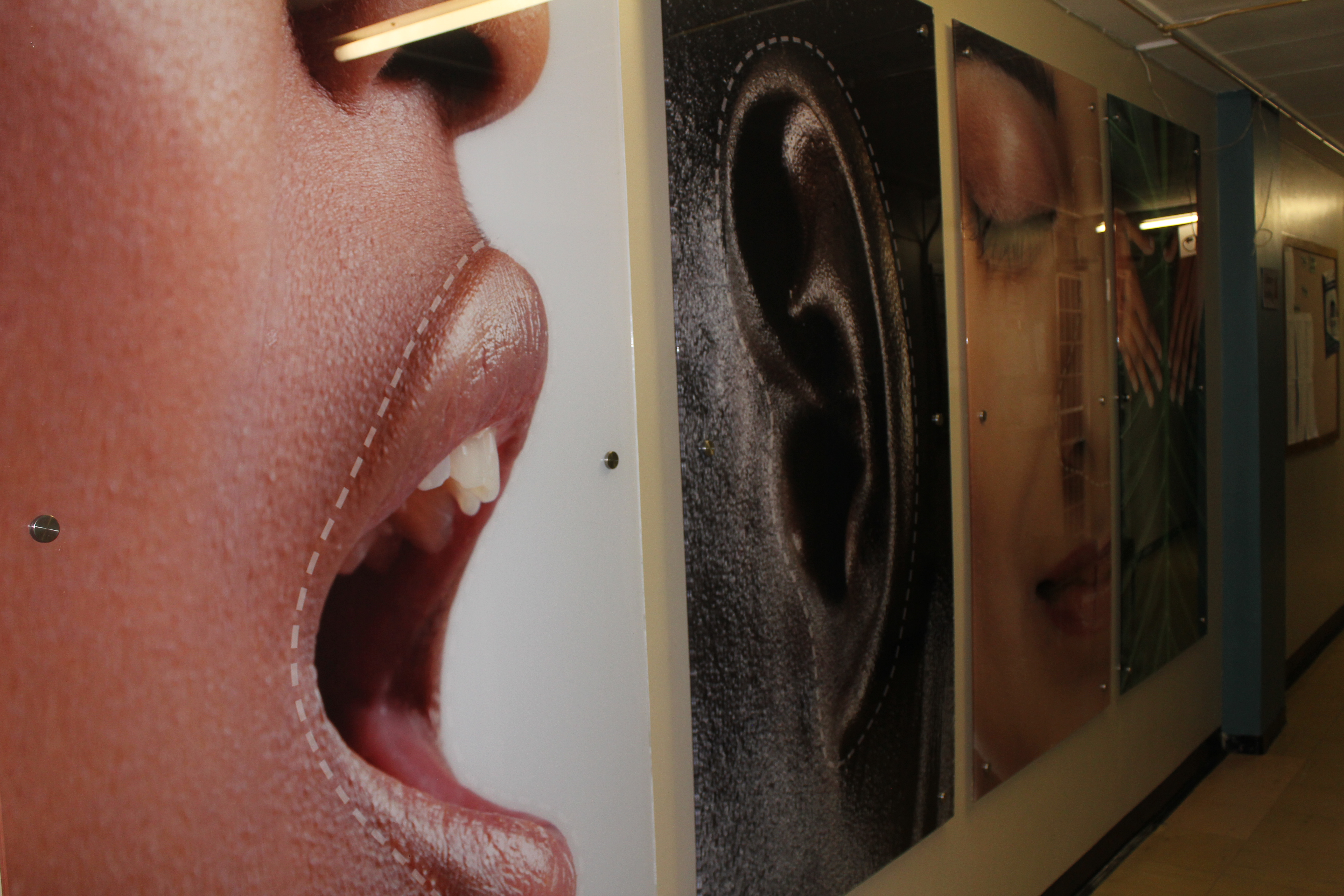 Sensory Lab Taste Hear Sell Feel