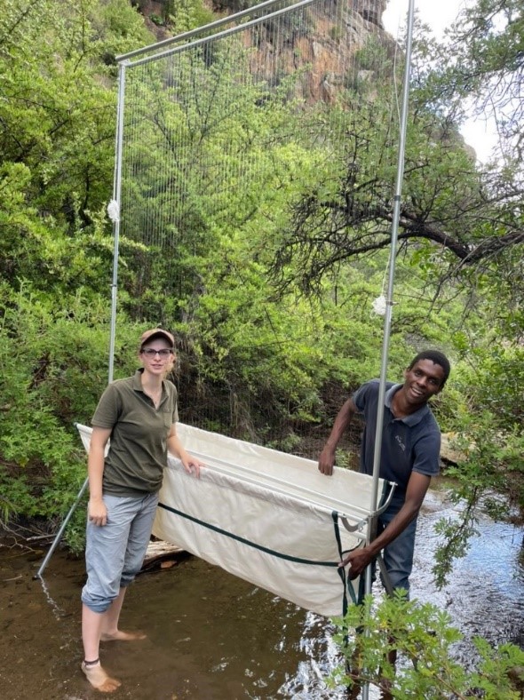 Monday installing a harp trap
