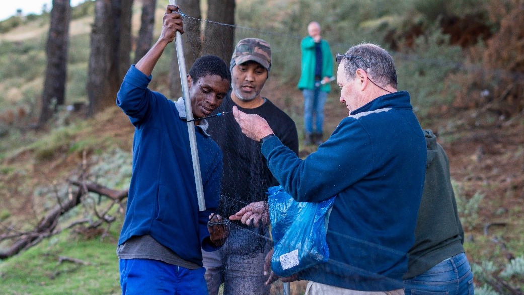 Setting up a Mist net