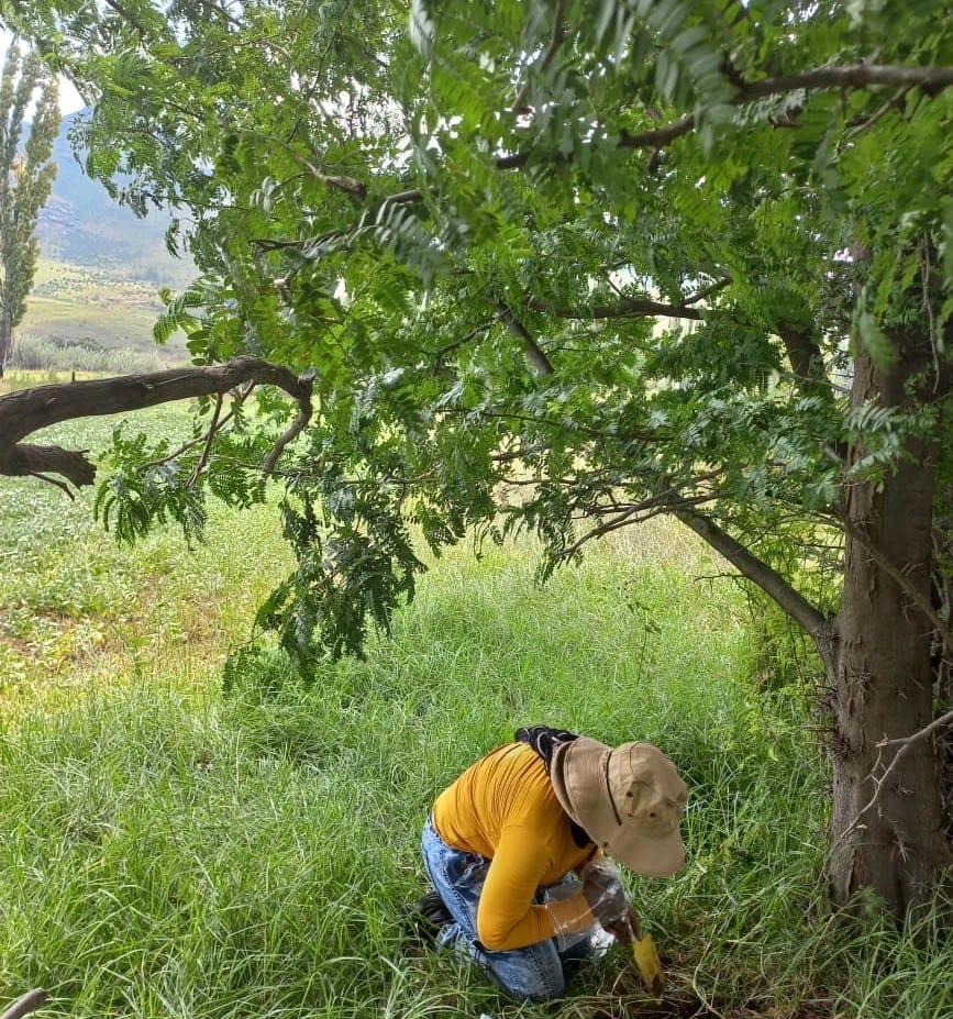 f9f00841-2e21-4c8f-a457-b27e501c8407 (002)