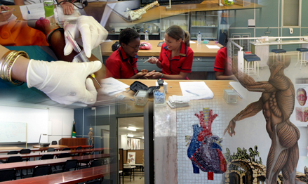 Description: Basic Medical Sciences Keywords: Main photo 1