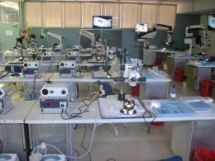 Description: Basic Medical Sciences Keywords: Workshop 2014-b