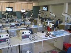 Description: Basic Medical Sciences Keywords: Workshop