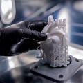 3d Printed Heart