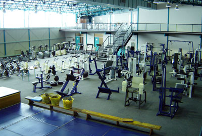 Description: Exercise and Sport Sciences Keywords: Biokinetics