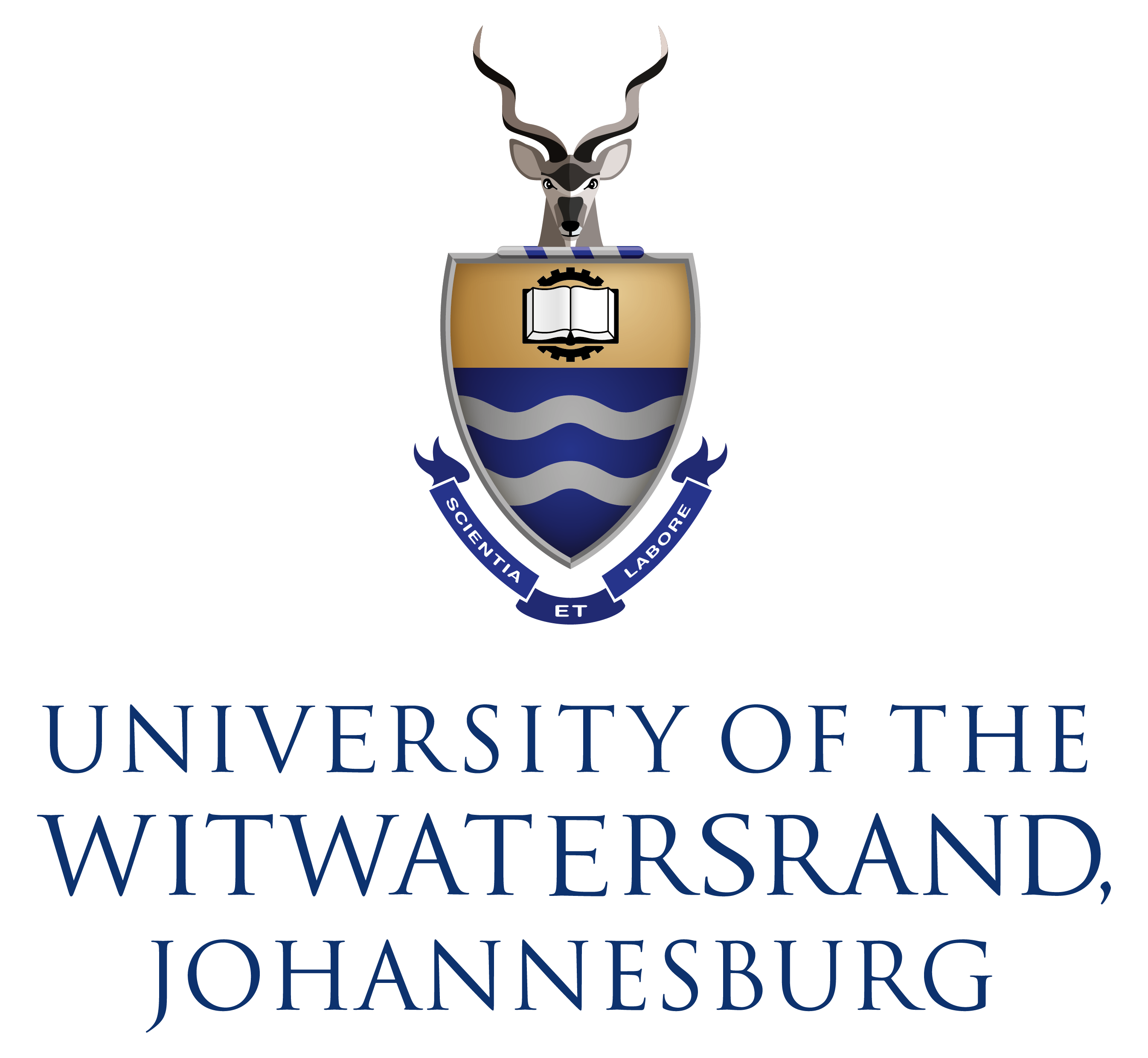 WITS Logo