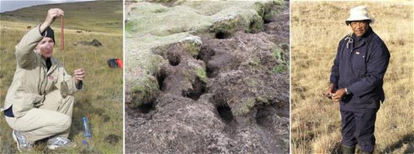 Description: 4th International Conference on Rodent Biology and Management (ICRBM) Keywords: Avenant 5