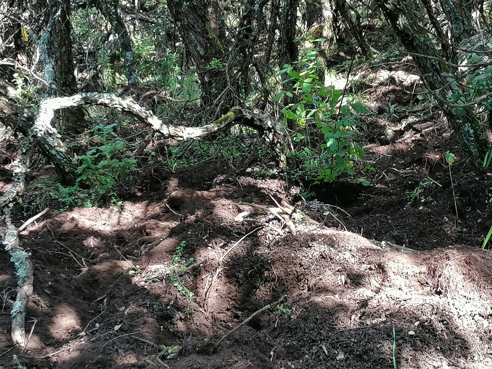 2021-10-06 at 10.56.07 (2)