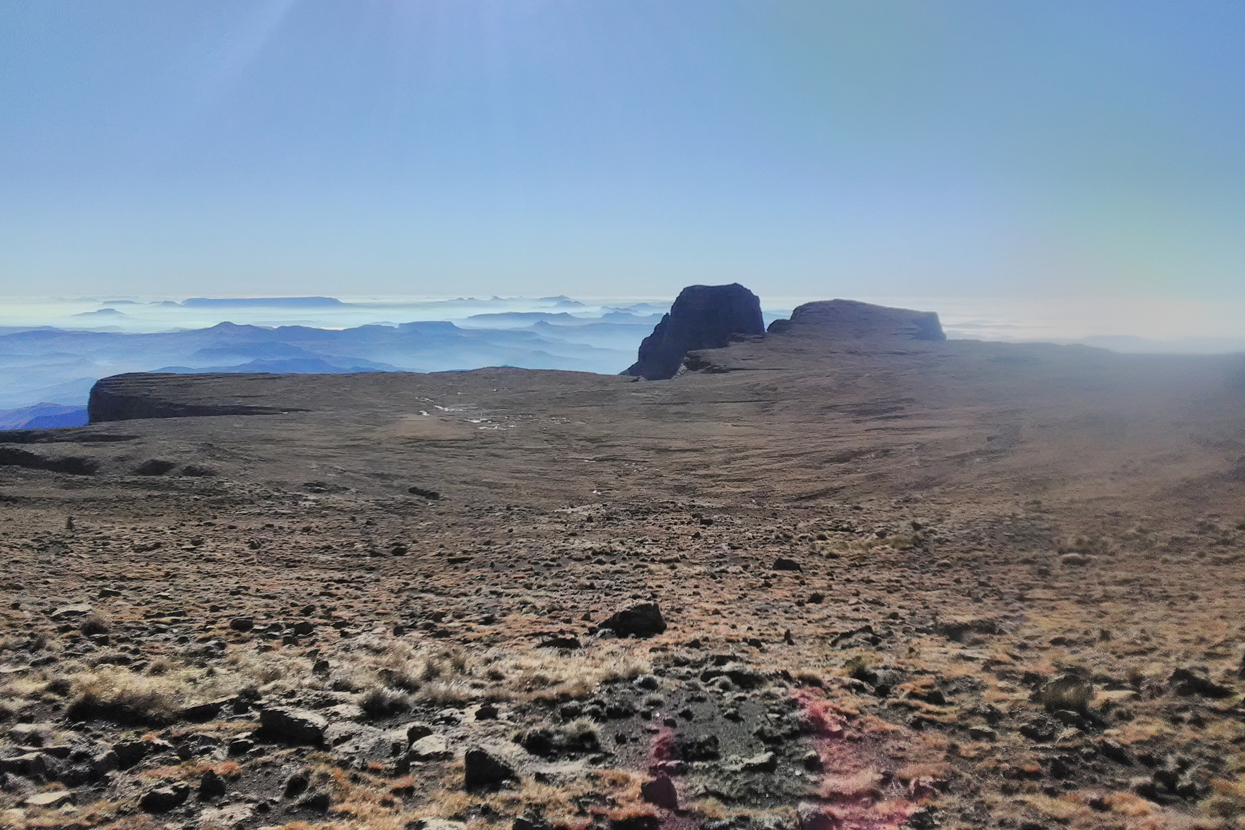 IMG_20200704_093400 copy