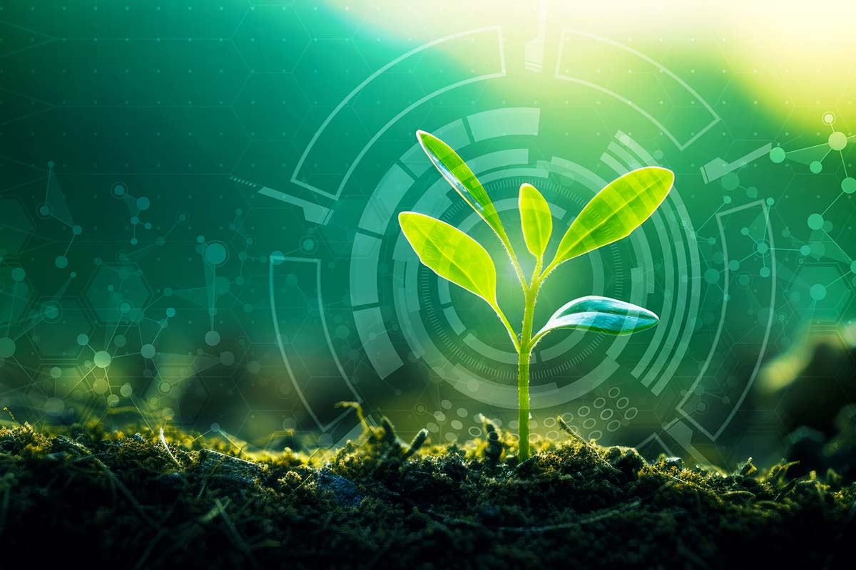 Natural and Agricultural Sciences